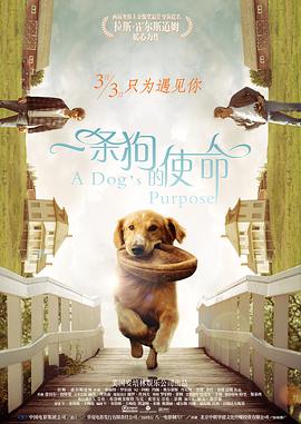 一條狗的使命（國語(yǔ)版）(全集)