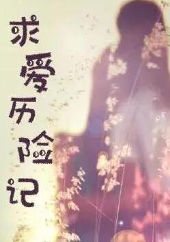 求愛(ài)歷險記(全集)
