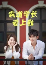 霸道學(xué)長(cháng)愛(ài)上我(全集)