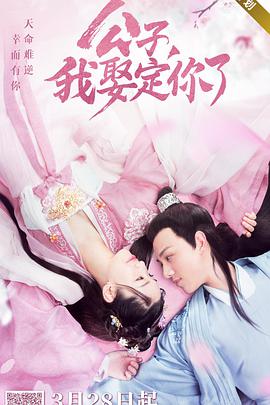 公子，我娶定你了(全集)