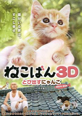 小貓跳出來(lái)3D