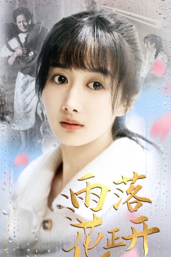 雨落花正開(kāi)(全集)