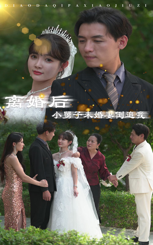 離婚后，小舅子未婚妻倒追我(全集)