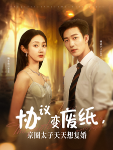 協(xié)議變廢紙，京圈太子天天想復婚(全集)