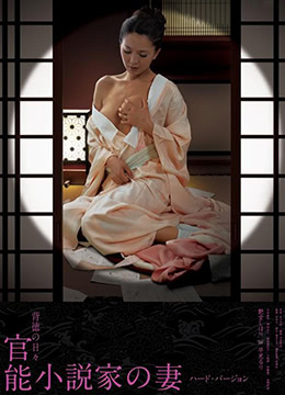 官能小說(shuō)家之妻