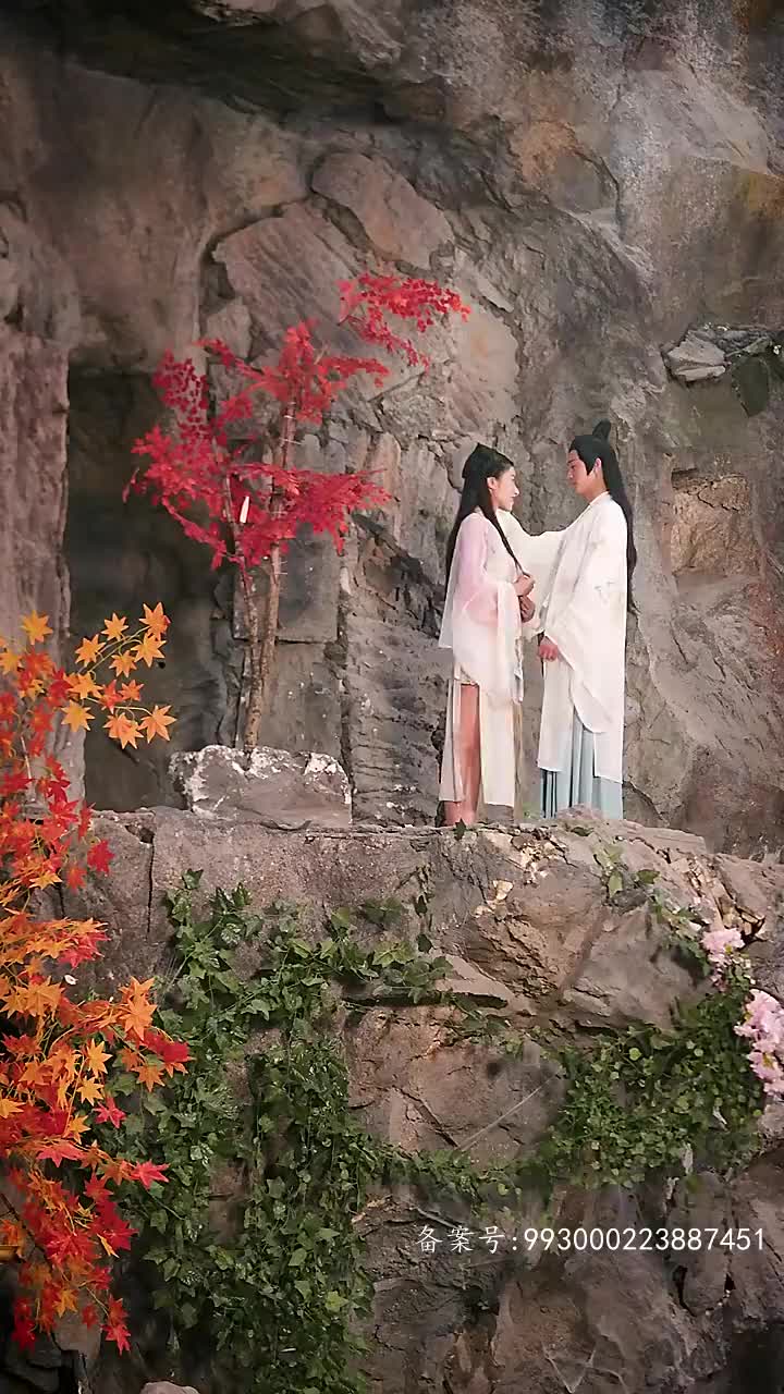 長(cháng)生帝婿(全集)