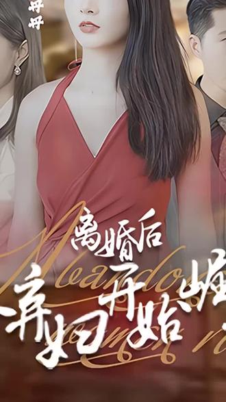 離婚后，從棄婦開(kāi)始崛起(全集)