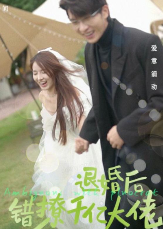 退婚后，錯撩千億大佬(全集)