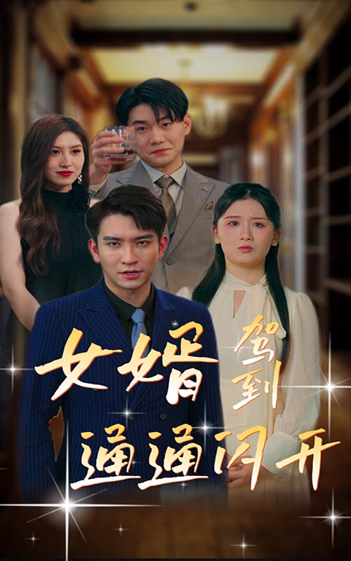 女婿駕到，通通閃開(kāi)(全集)